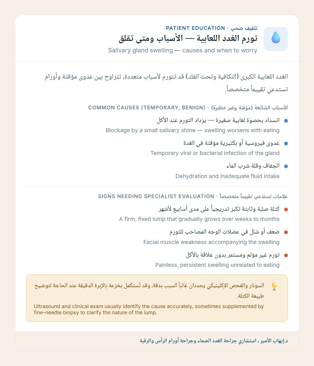 الغدد اللعابية — Salivary glands
